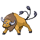 tauros_hgss_action