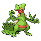 sceptile_platinum